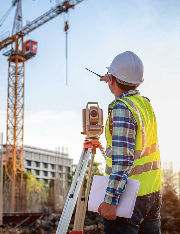 Development support Consultant
